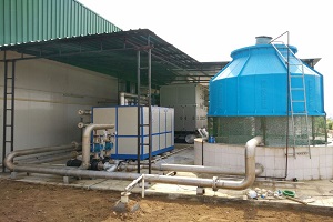 service image